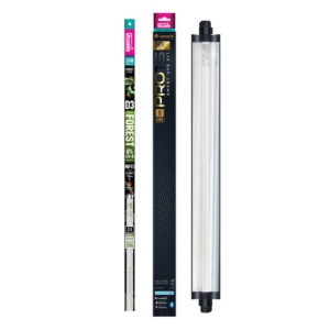 Lumenize Arcadia Pro T5 Uvb Kit - Forest 6%, 24 Watt
