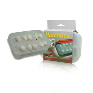 Lucky Reptile Hatch Box Incubation Tray